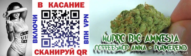 Где можно купить наркотики Алупка ГАШИШ  Каннабис  Cocaine  Мефедрон 