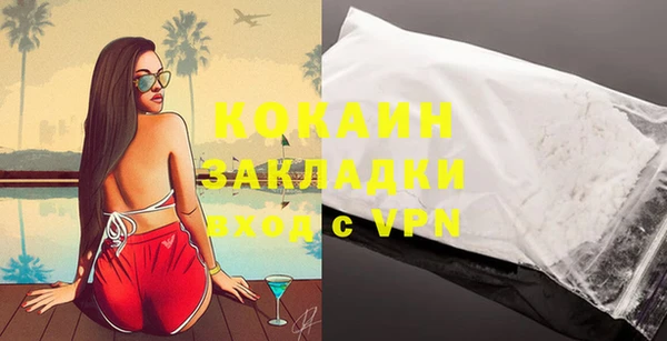 тгк Новозыбков