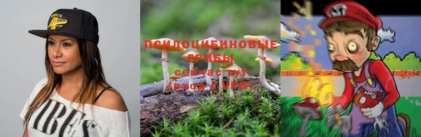тгк Новозыбков