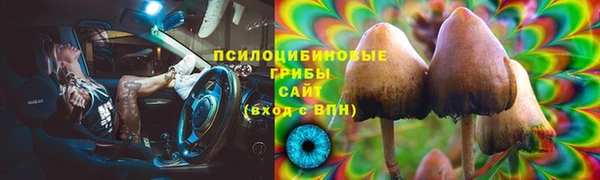 тгк Новозыбков