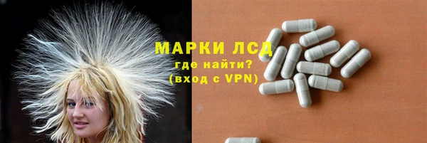 тгк Новозыбков