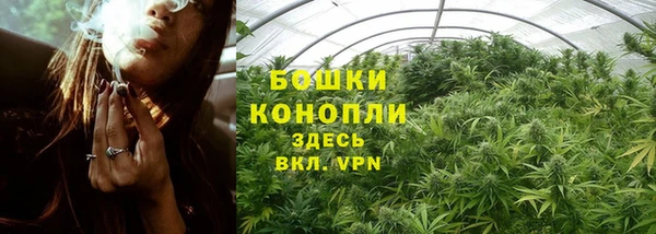 тгк Билибино
