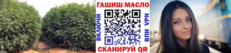 купить наркотик  Алупка  ТГК THC oil 