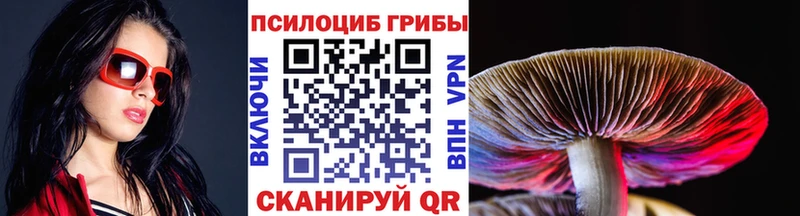 Галлюциногенные грибы ЛСД  shop официальный сайт  hydra ССЫЛКА  Алупка  купить закладку 